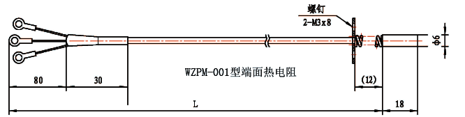 WZPM-001端面铂电阻结构示意图 WZPM-001端面铂电阻结构示意图