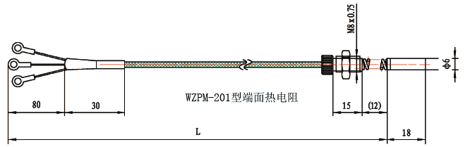 WZPM-201端面铂电阻结构示意图 WZPM-201端面铂电阻结构示意图