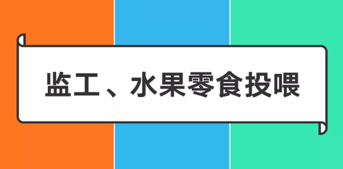 阿里/腾讯/字节跳动爸妈做什么 阿里/腾讯/字节跳动爸妈做什么