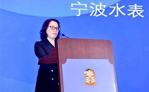 中国仪器仪表行业协会副理事长、宁波水表(集团)股份有限公司董事长 张琳