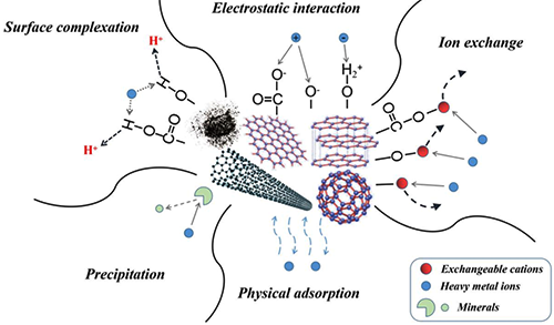 重金属在碳基官能团吸附剂上的吸附机制示意图 重金属在碳基官能团吸附剂上的吸附机制示意图